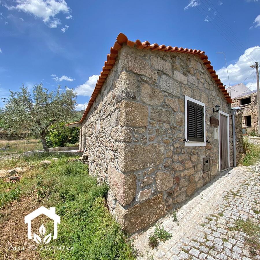 A Casa Da Avo Mina Villa ซอร์เตลยา ภายนอก รูปภาพ